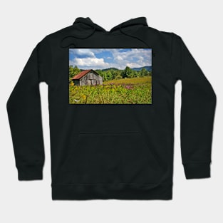 Ironweed & Barn Hoodie